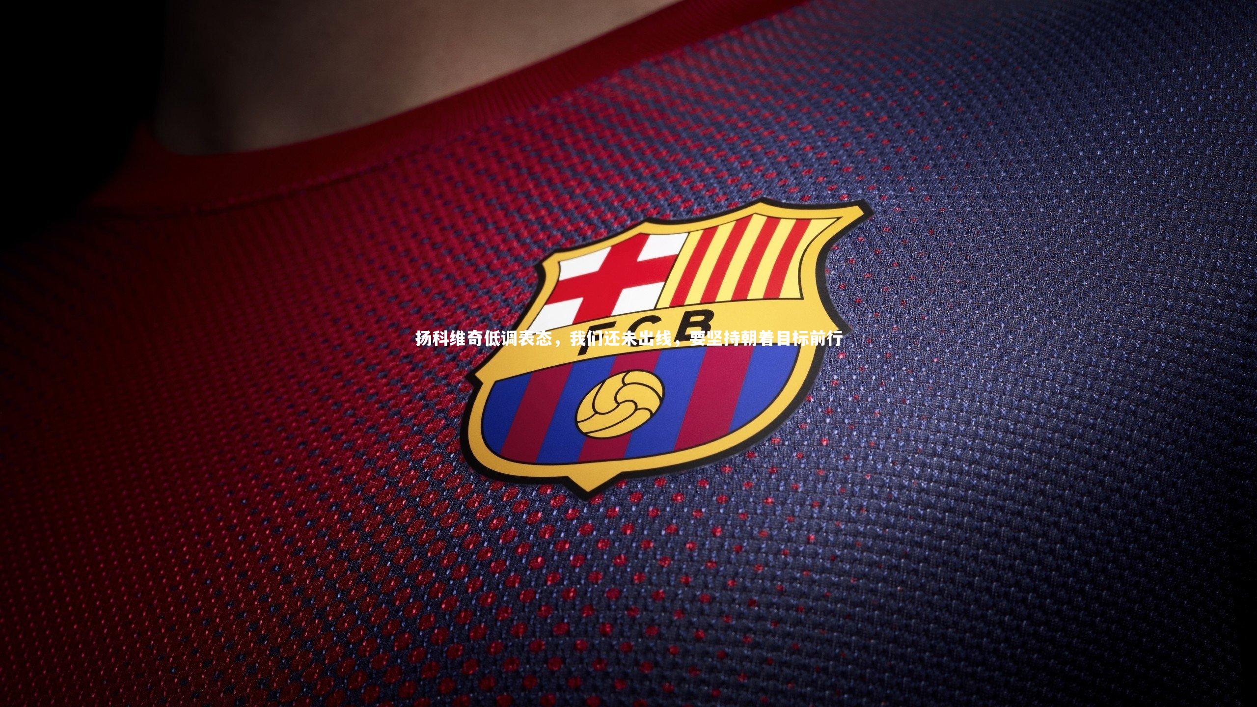 扬科维奇低调表态,我们还未出线,要坚持朝着目标前行